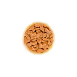 Royal Canin Cat Ageing Sauce 11+ 12x85 g