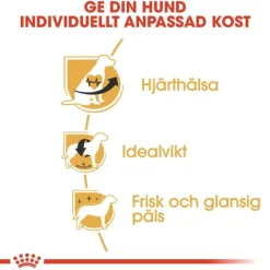 Royal Canin Cavalier King Charles Adult torrfoder för hund