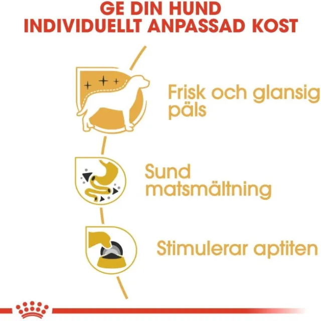 Royal Canin Chihuahua Adult Loaf våtfoder för hund 12x85g
