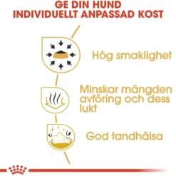 Royal Canin Chihuahua Adult torrfoder för hund