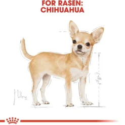 Royal Canin Chihuahua Adult torrfoder för hund