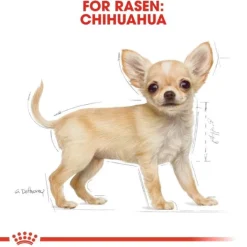 Royal Canin Chihuahua Puppy torrfoder för hundvalp