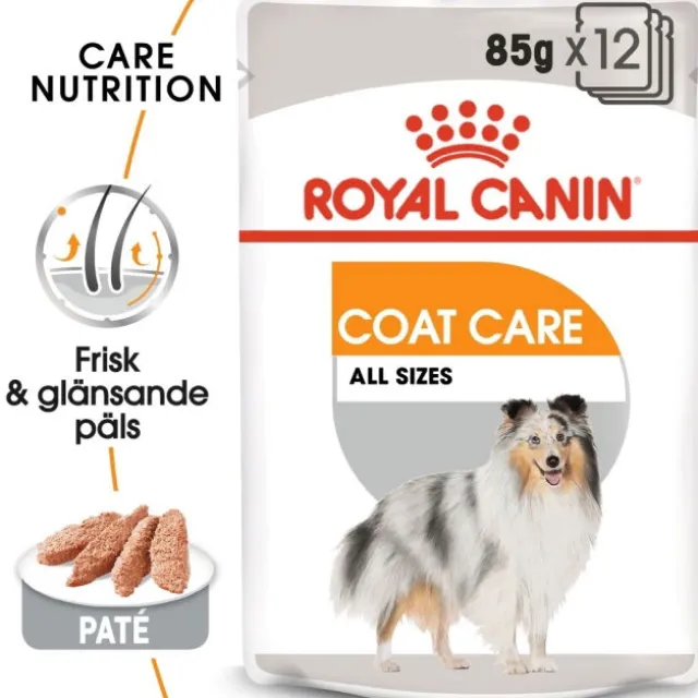 Royal Canin Coat Care Adult våtfoder för hund 12x85 g