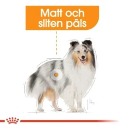 Royal Canin Coat Care Adult våtfoder för hund 12x85 g