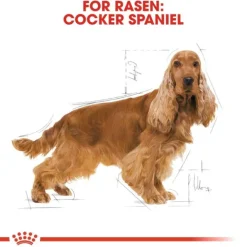 Royal Canin Cocker Adult torrfoder för hund
