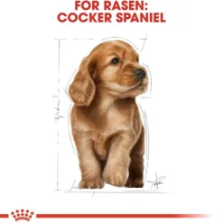 Royal Canin Cocker Puppy torrfoder för hundvalp