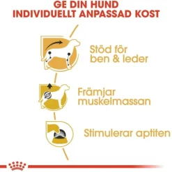 Royal Canin Dachshund Adult Loaf våtfoder för hund 12x85g