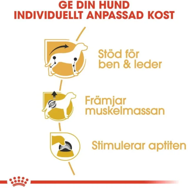 Royal Canin Dachshund Adult Loaf våtfoder för hund 12x85g