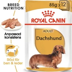 Royal Canin Dachshund Adult Loaf våtfoder för hund 12x85g
