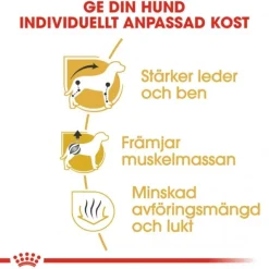 Royal Canin Dachshund Adult torrfoder för hund
