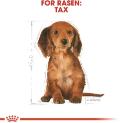 Royal Canin Dachshund Puppy torrfoder för hundvalp 1,5 kg