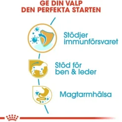 Royal Canin Dachshund Puppy torrfoder för hundvalp 1,5 kg
