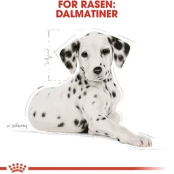 Royal Canin Dalmatian Junior Puppy torrfoder för hundvalp