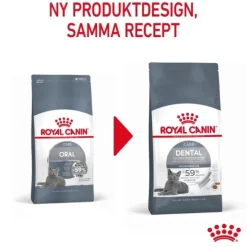 Royal Canin Dental Care Adult torrfoder för katt