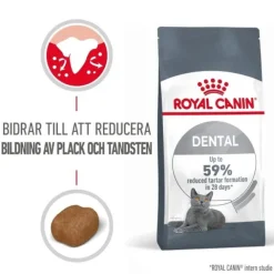 Royal Canin Dental Care Adult torrfoder för katt