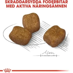 Royal Canin Dental Care Mini Adult torrfoder för hund