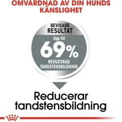 Royal Canin Dental Care Mini Adult torrfoder för hund