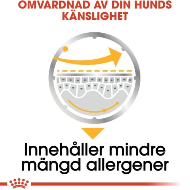 Royal Canin Dermacomfort Adult Loaf våtfoder för hund 12x85 g