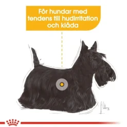 Royal Canin Dermacomfort Adult Loaf våtfoder för hund 12x85 g