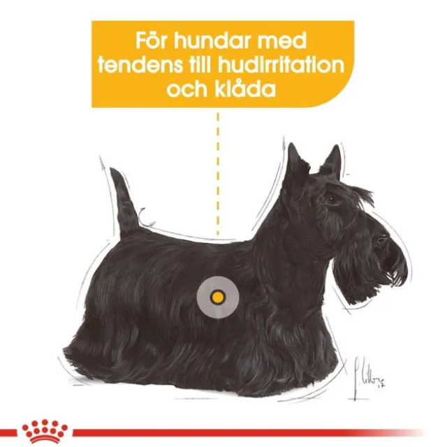 Royal Canin Dermacomfort Adult Loaf våtfoder för hund 12x85 g