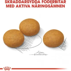 Royal Canin Dermacomfort Maxi Adult torrfoder för hund