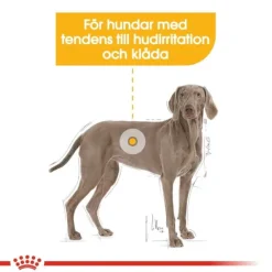 Royal Canin Dermacomfort Maxi Adult torrfoder för hund