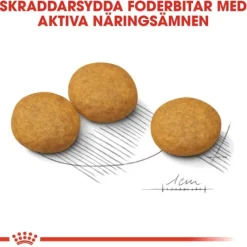 Royal Canin Dermacomfort Medium Adult torrfoder för hund