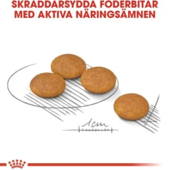 Royal Canin Dermacomfort Mini Adult torrfoder för hund