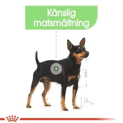Royal Canin Digestive Care Adult Loaf våtfoder för hund 12x85 g