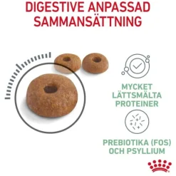 Royal Canin Digestive Care Adult torrfoder för katt