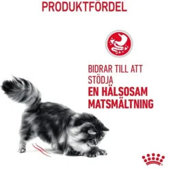 Royal Canin Digestive Care Adult torrfoder för katt