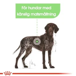 Royal Canin Digestive Care Maxi Adult torrfoder för hund