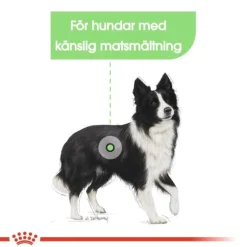 Royal Canin Digestive Care Medium Adult torrfoder för hund