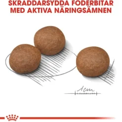 Royal Canin Digestive Care Medium Adult torrfoder för hund