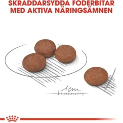 Royal Canin Digestive Care Mini Adult torrfoder för hund