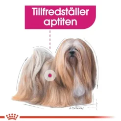 Royal Canin Exigent Adult våtfoder för hund 12x85 g