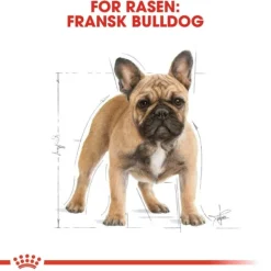 Royal Canin French Bulldog Adult torrfoder för hund