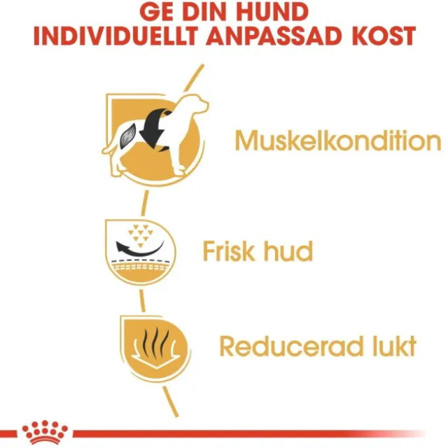 Royal Canin French Bulldog Adult torrfoder för hund