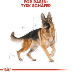 Royal Canin German Shepherd Adult torrfoder för hund