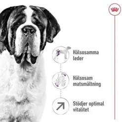 Royal Canin Giant Adult torrfoder för hund