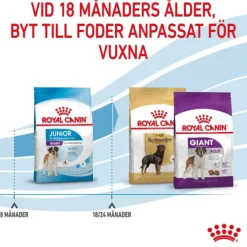 Royal Canin Giant Junior torrfoder för hundvalp