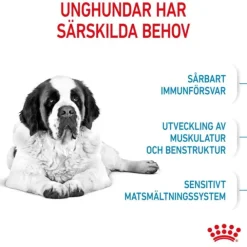 Royal Canin Giant Junior torrfoder för hundvalp