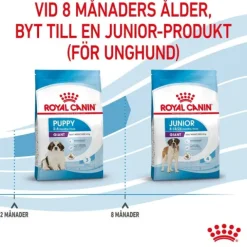 Royal Canin Giant Puppy torrfoder för hundvalp