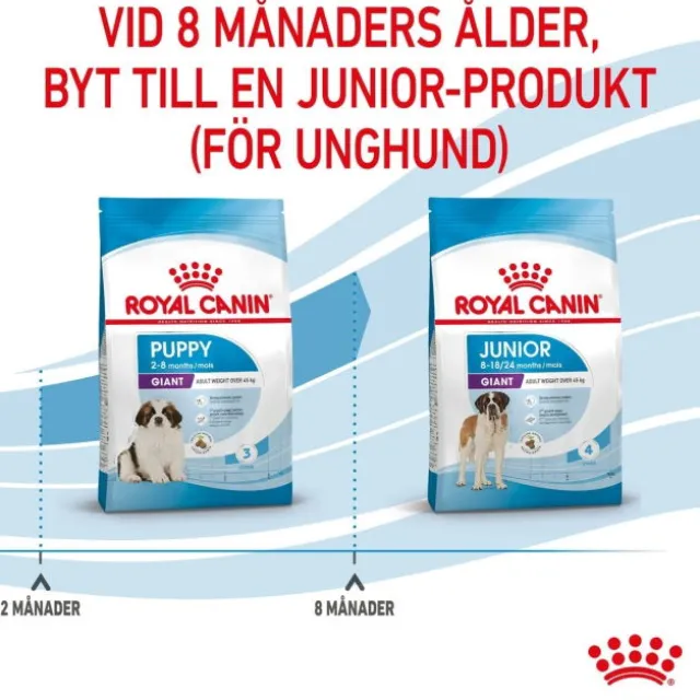 Royal Canin Giant Puppy torrfoder för hundvalp