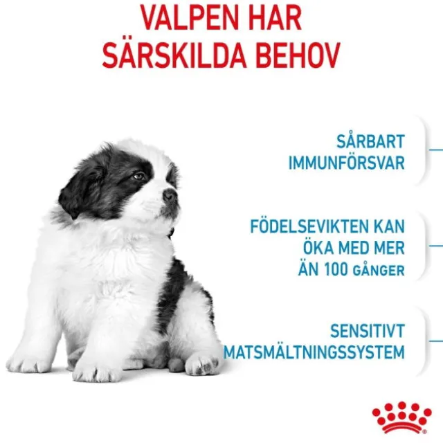 Royal Canin Giant Puppy torrfoder för hundvalp