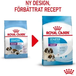 Royal Canin Giant Starter torrfoder för hundvalp