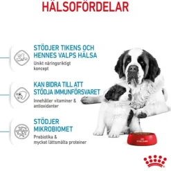 Royal Canin Giant Starter torrfoder för hundvalp