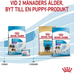 Royal Canin Giant Starter torrfoder för hundvalp