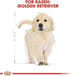 Royal Canin Golden Retriever Puppy torrfoder för hundvalp