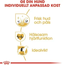Royal Canin Golden Retriever Adult torrfoder för hund